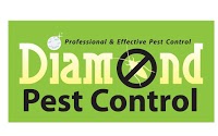 Pest Control Cricklewood 0208 889 1036 376730 Image 0